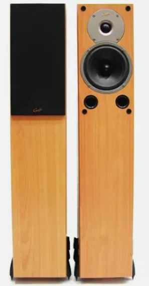 Gale 3030 Speakers in Beech